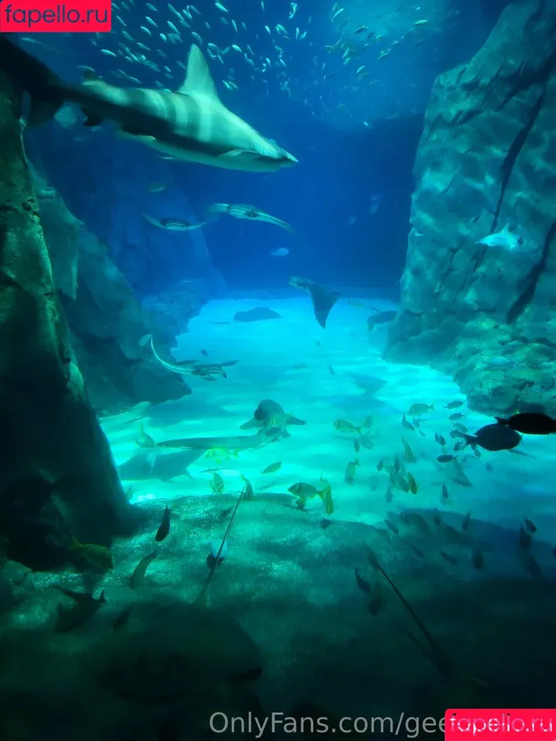 geekikitten / geekykittenxo Onlyfans Photo Gallery 