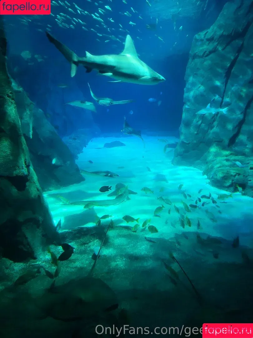 geekikitten / geekykittenxo Onlyfans Photo Gallery 