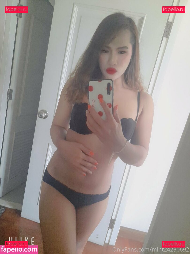 mint24230694 / mintchoco2406