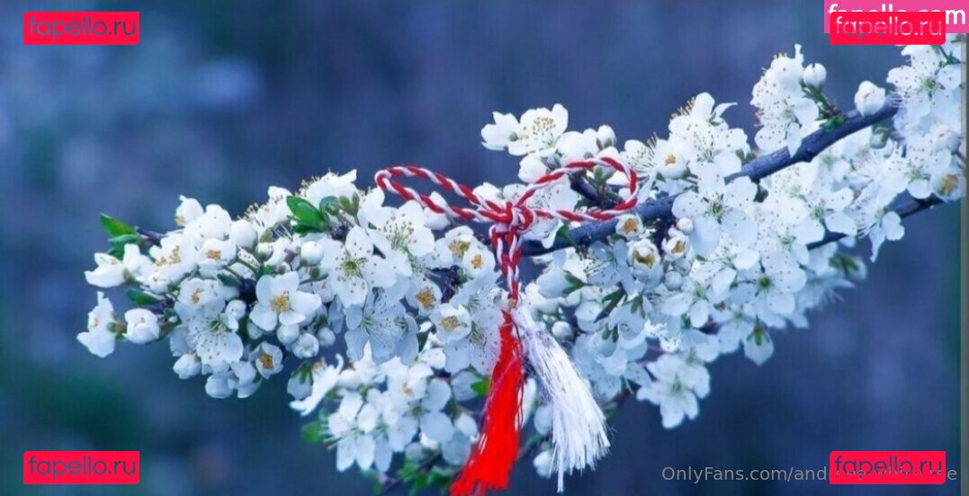 andreea.whitefree / andreeawhite87 Onlyfans Photo Gallery 