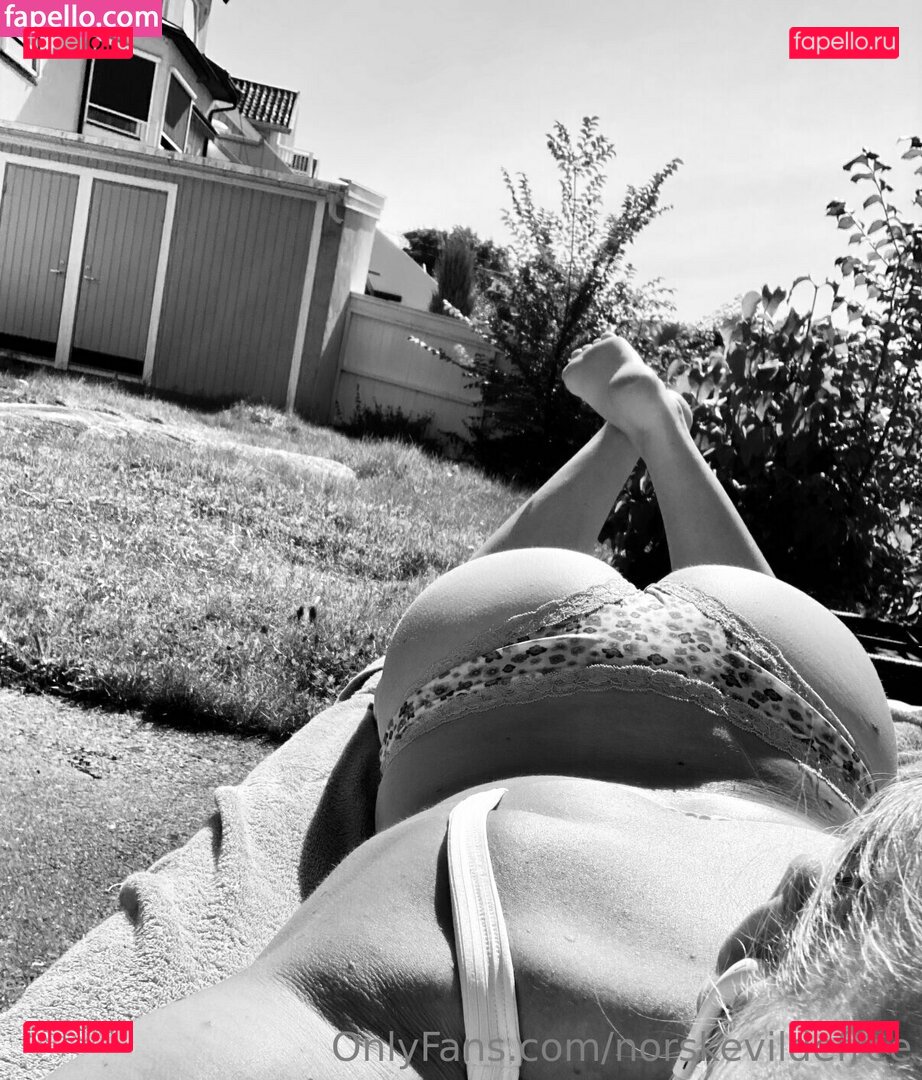norskevildefree Onlyfans Photo Gallery 