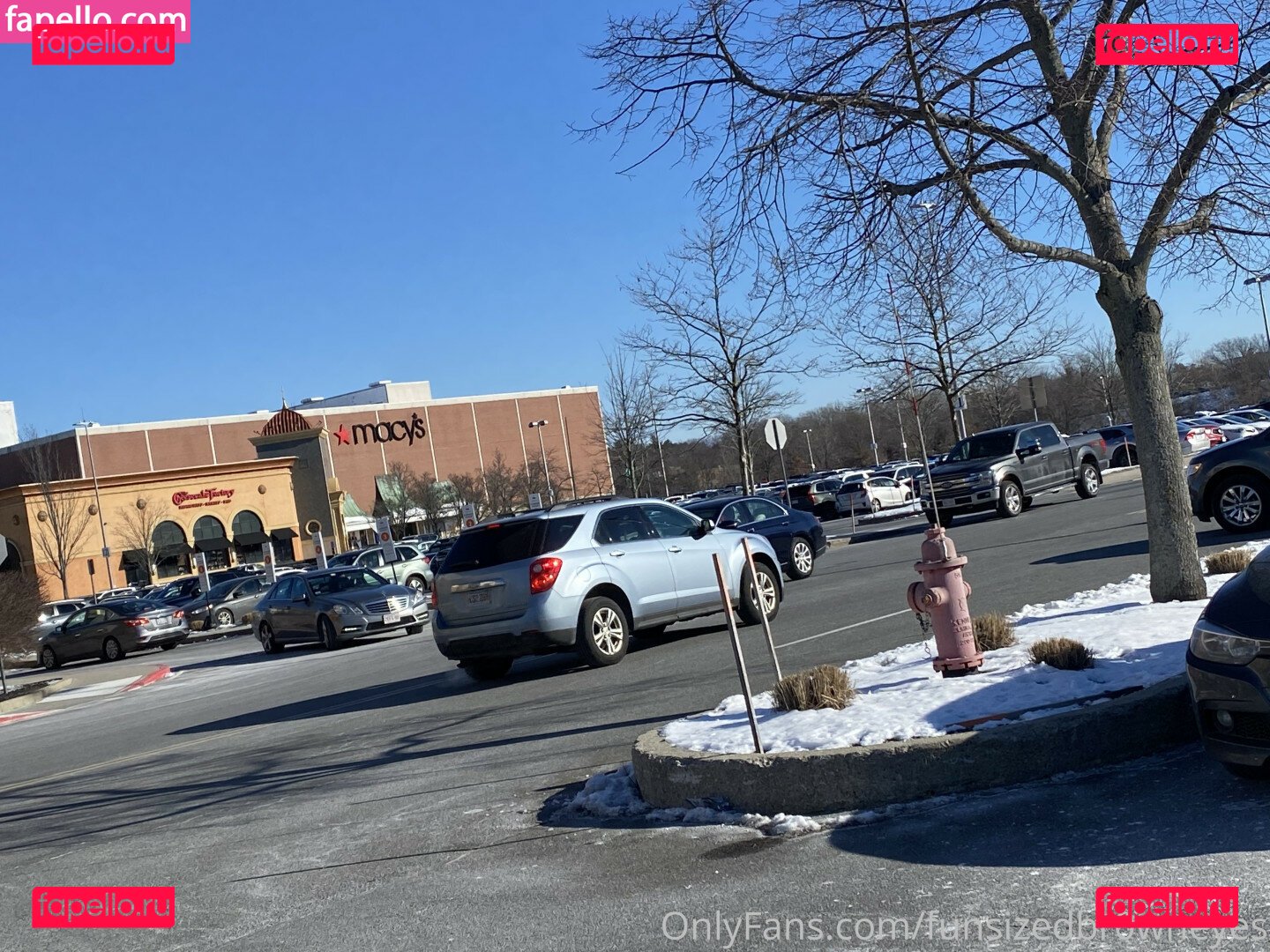 _imyour_joy / snaccs1zed Onlyfans Photo Gallery 