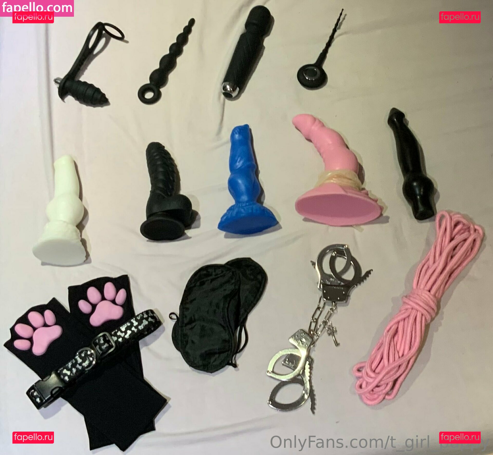 t_girl_puppy Onlyfans Photo Gallery 