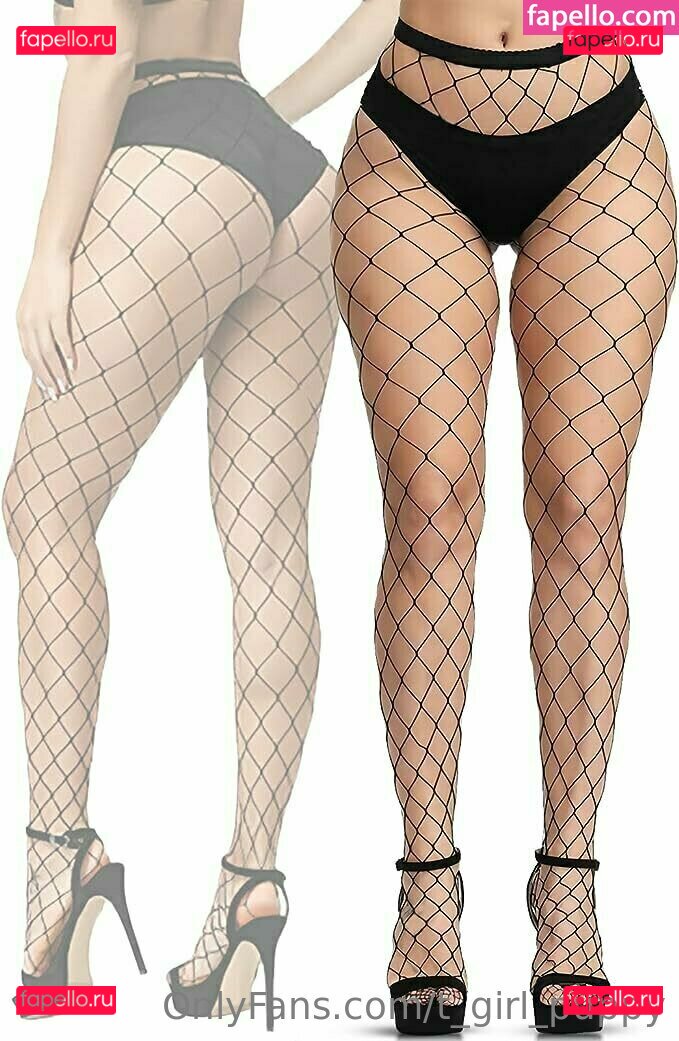 t_girl_puppy Onlyfans Photo Gallery 