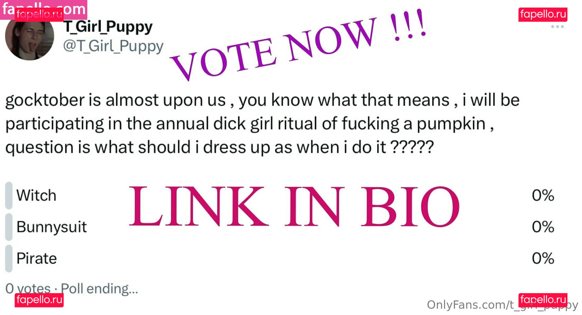 t_girl_puppy Onlyfans Photo Gallery 