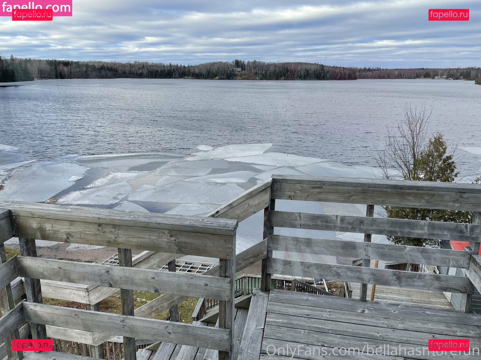 bellahasmorefun / https: Onlyfans Photo Gallery 