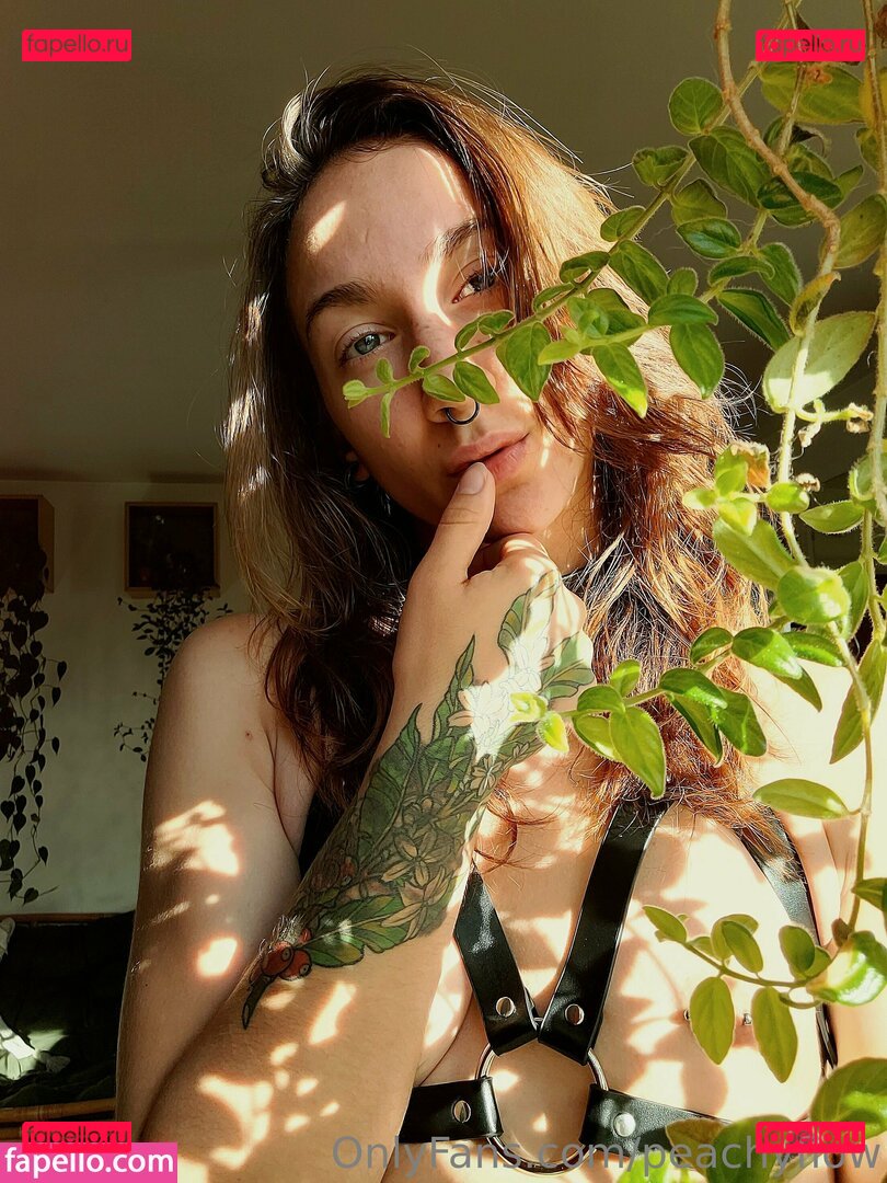 mistymuse / mistyxmuse Onlyfans Photo Gallery 