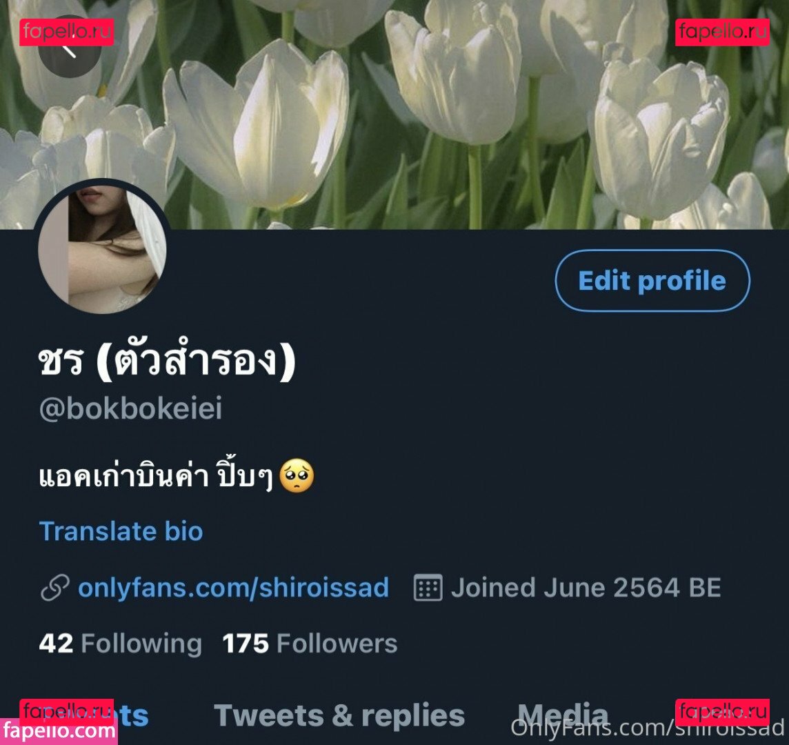 shiroisd / shiroisdamnsad / shiroissad Onlyfans Photo Gallery 