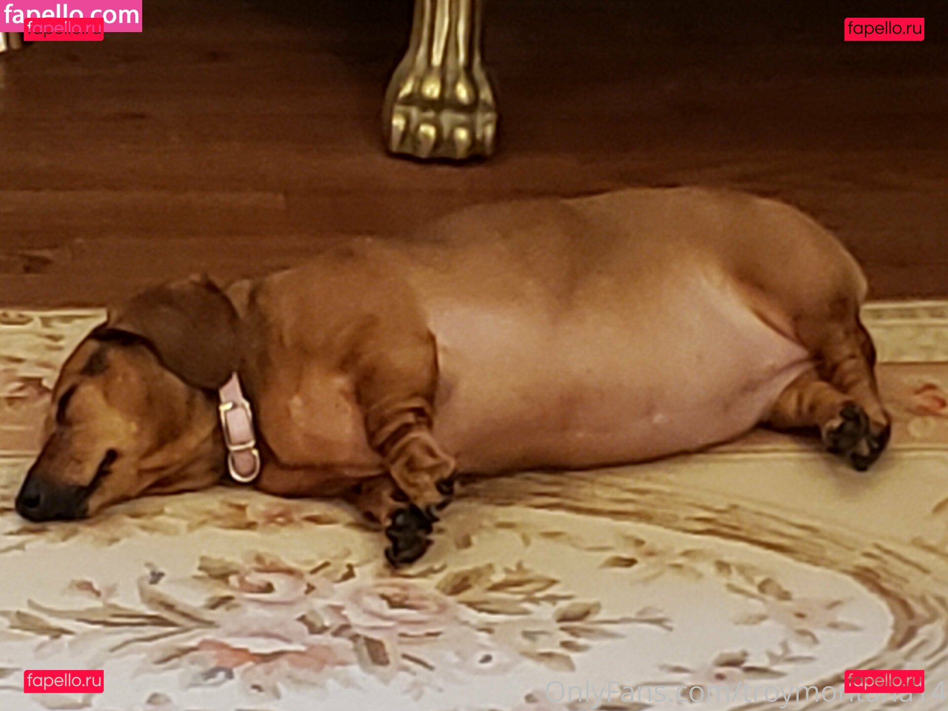 the80s_baby / troymontana14 Onlyfans Photo Gallery 