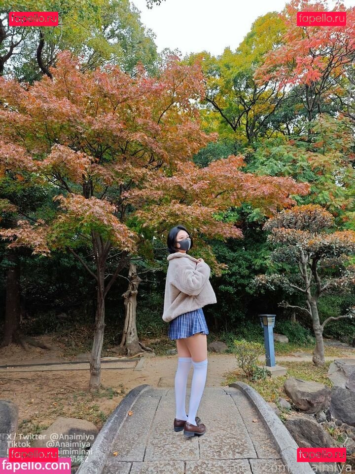 Anaimiya / Naimi奶咪 / naimiminai Onlyfans Photo Gallery 