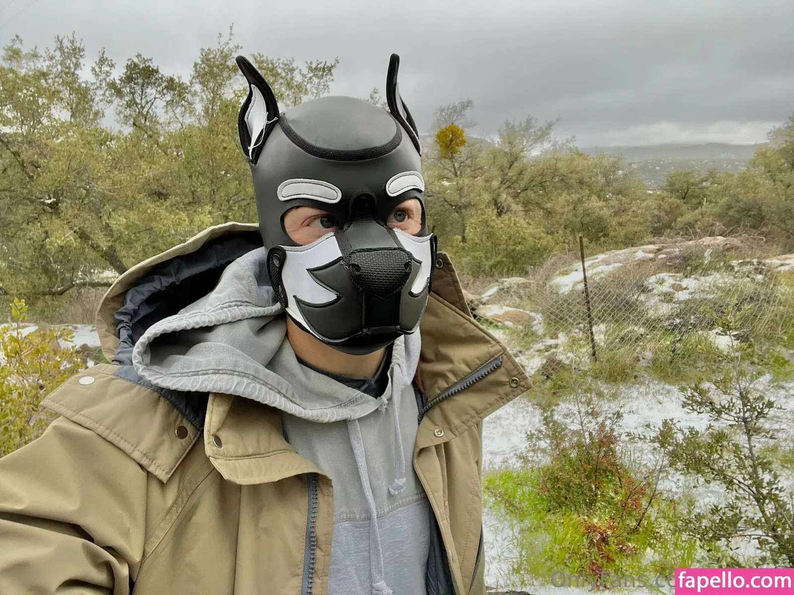 pupkurt Onlyfans Photo Gallery 