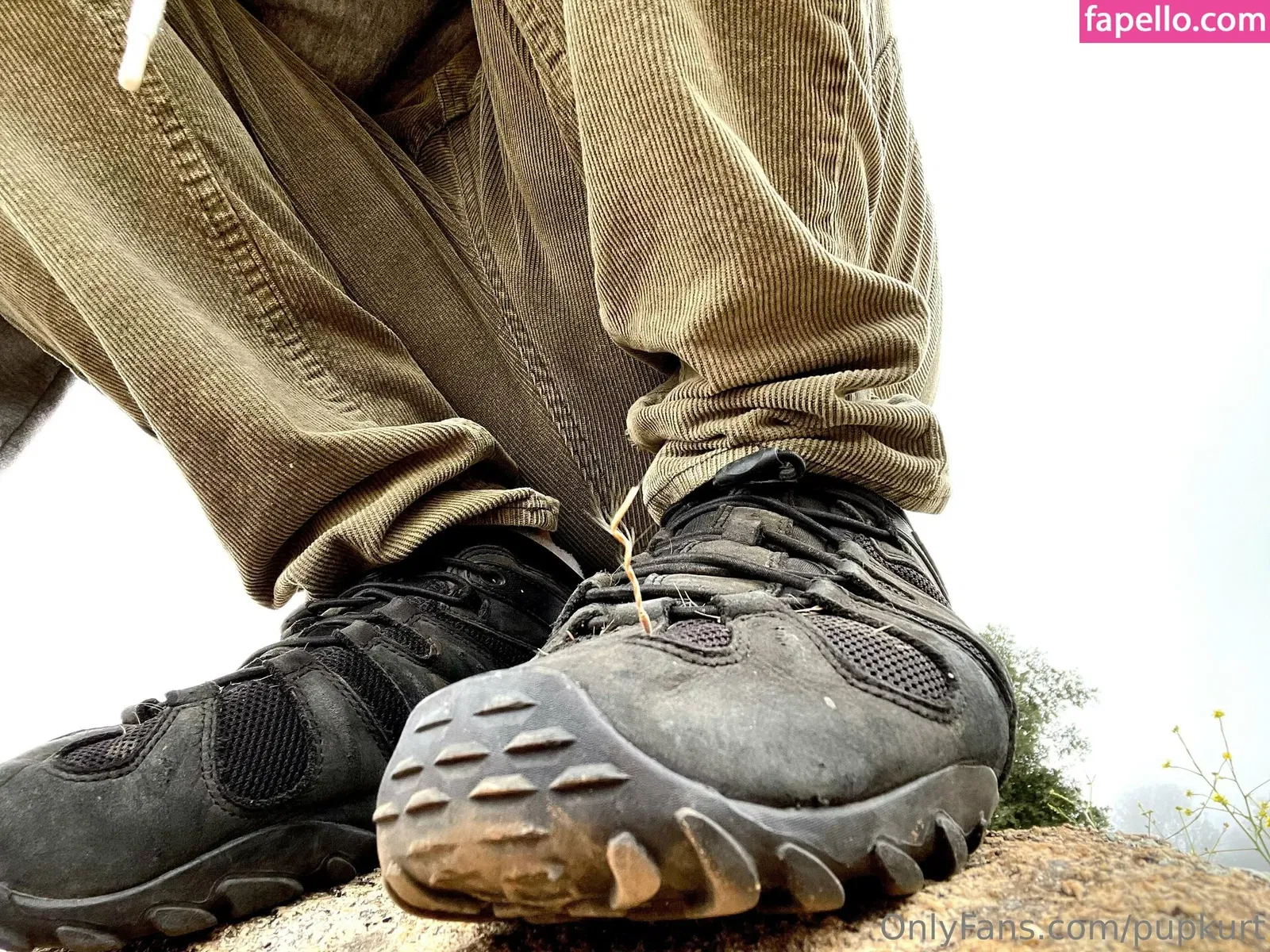 pupkurt Onlyfans Photo Gallery 