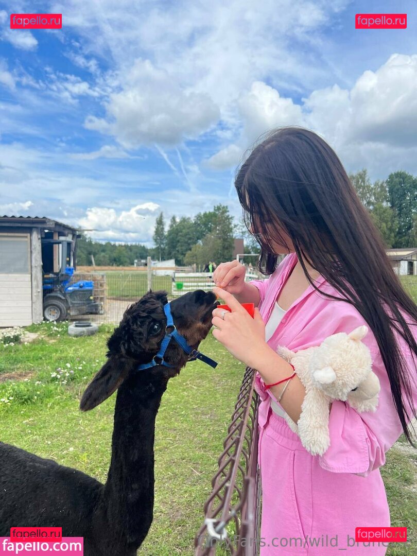 the_wildbrunette / wild_brunette Onlyfans Photo Gallery 