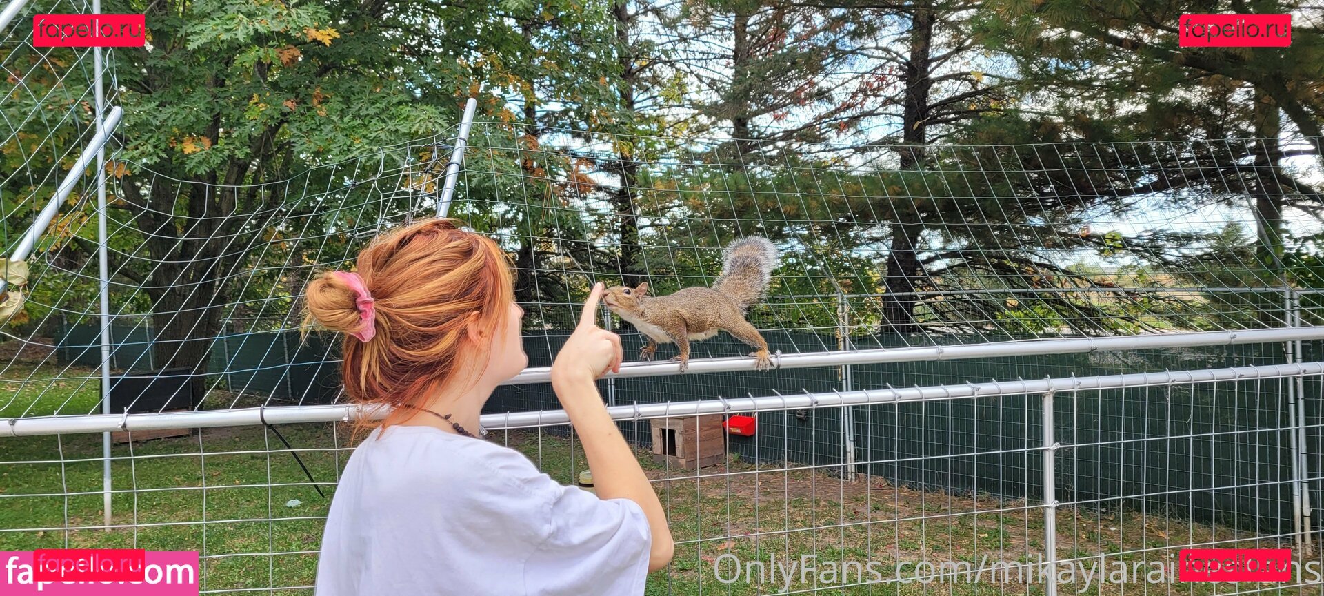 mikaylarainesfans / saveafox_rescue Onlyfans Photo Gallery 