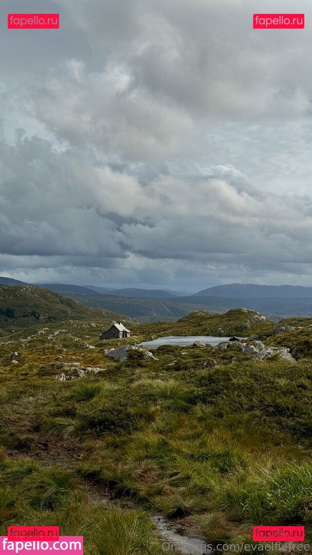 evaelfiefree / theevaelfie Onlyfans Photo Gallery 