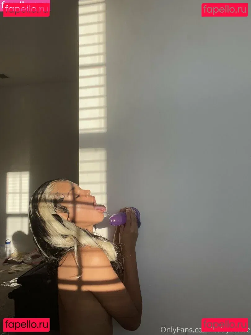 kittysprive Onlyfans Photo Gallery 