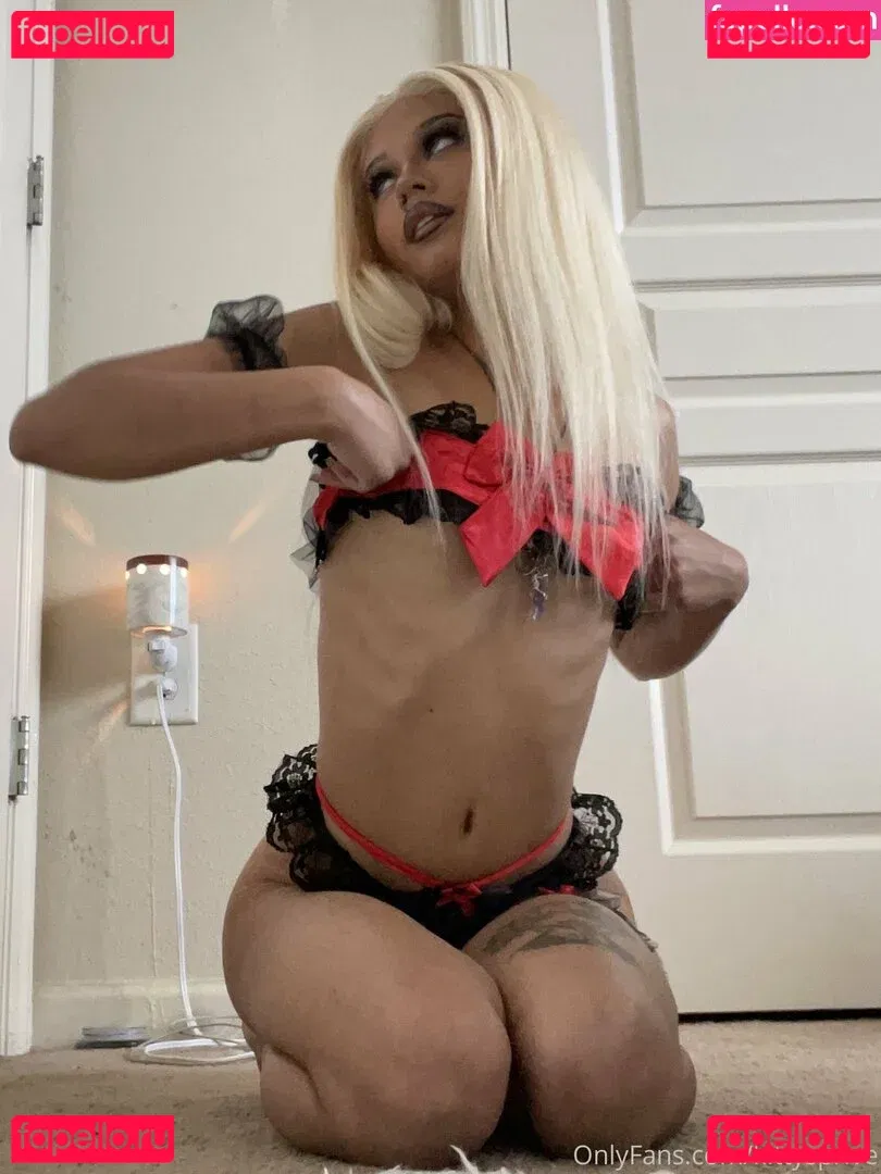 kittysprive Onlyfans Photo Gallery 