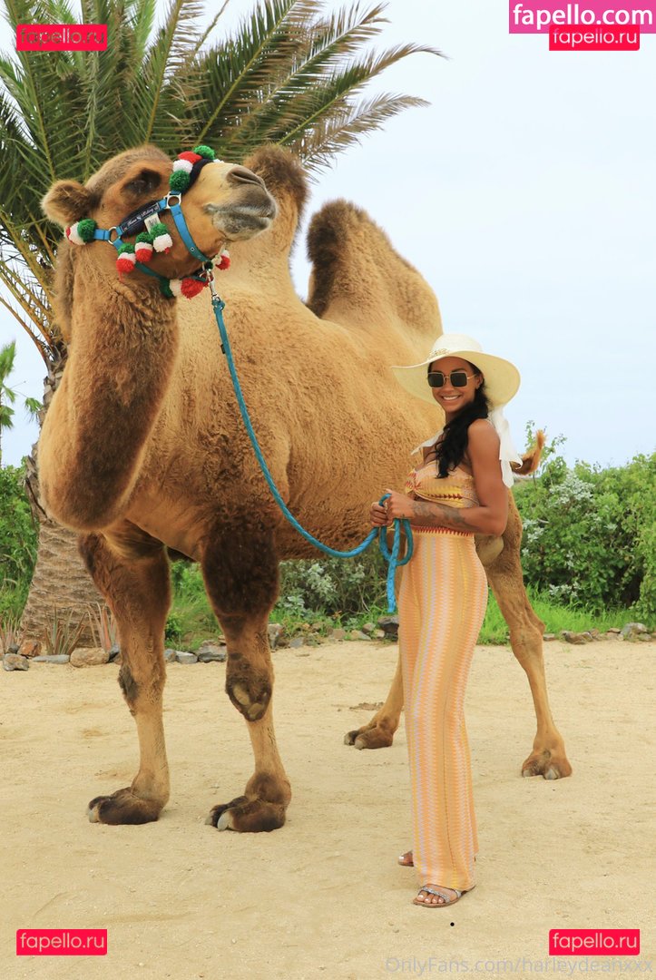 Harley Dean / TooooMuchAtOnce / harleydean / realharleyydean / thatsharleydean_ Onlyfans Photo Gallery 