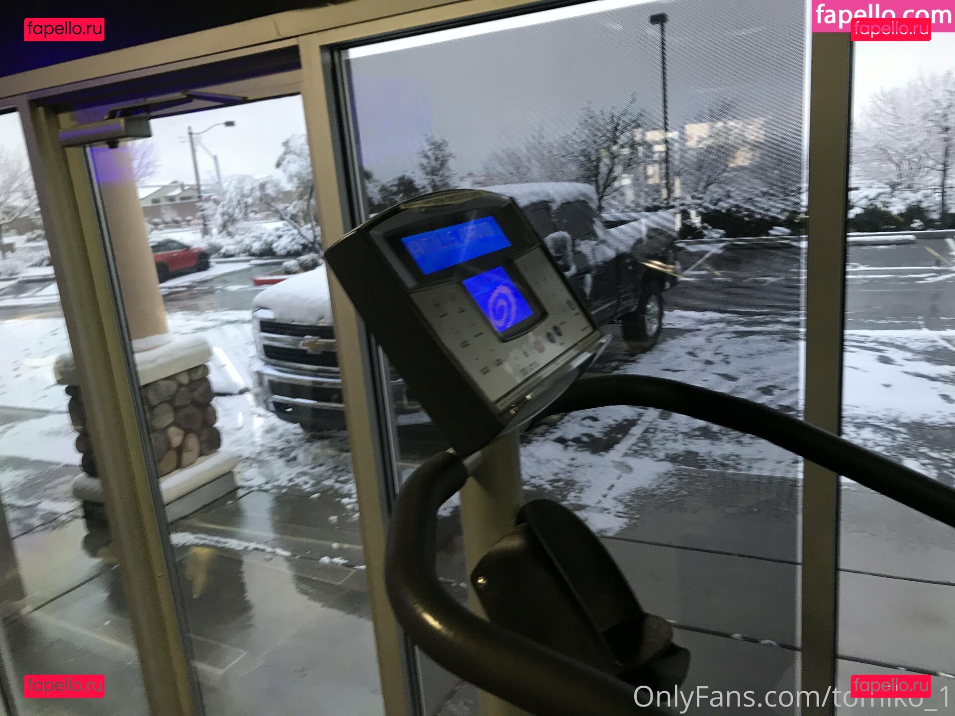 tomiko1 / tomiko_1 Onlyfans Photo Gallery 