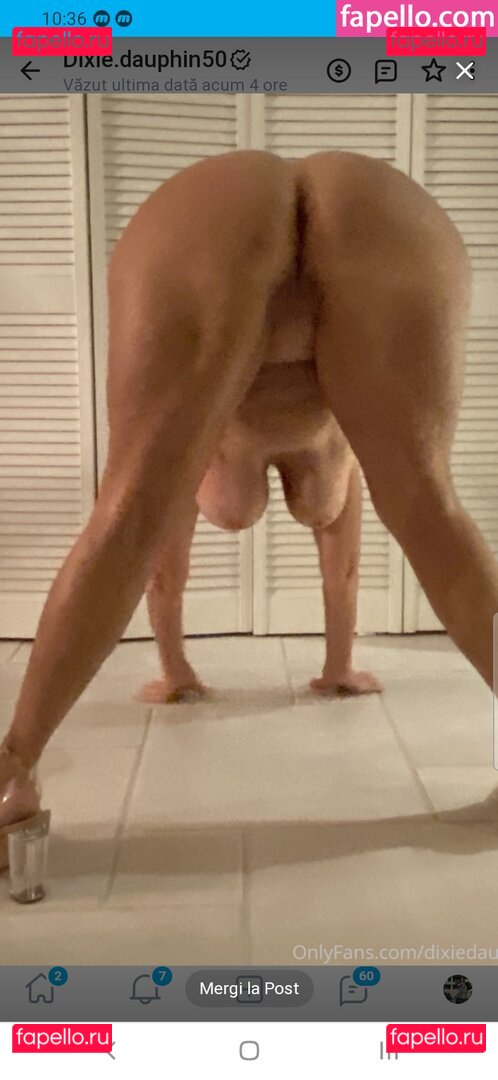 Dixie Dauphin / Dixie_dauphin / dixie.dauphin21 Onlyfans Photo Gallery 