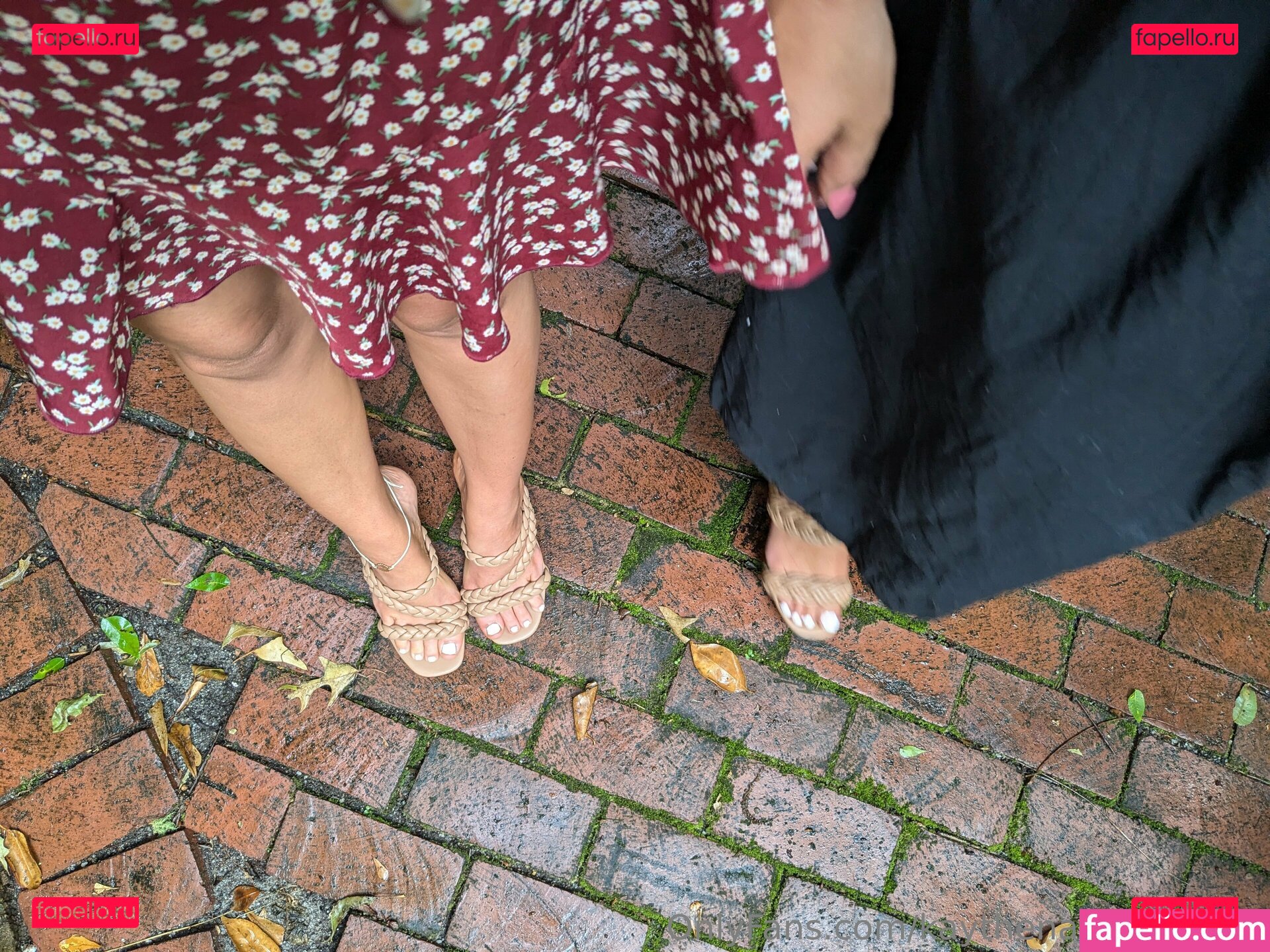 Kay / Mycelialmuse / mycelial.muse Onlyfans Photo Gallery 