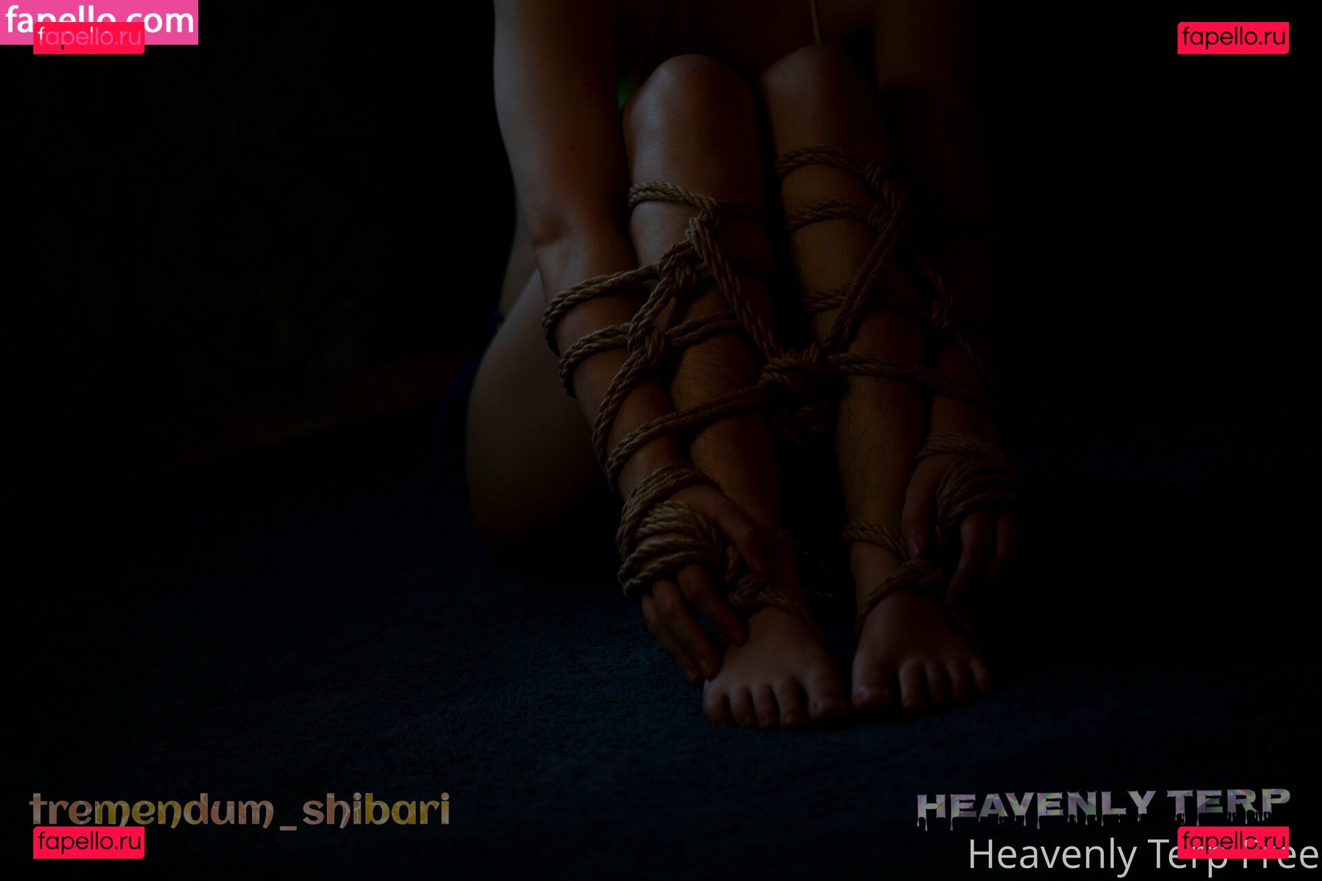 heavenlyp / heavenlyterpvip Onlyfans Photo Gallery 