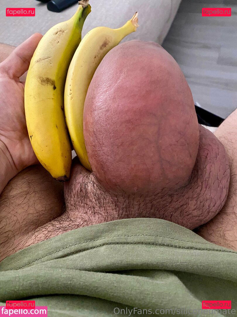 siliconedmate Onlyfans Photo Gallery 