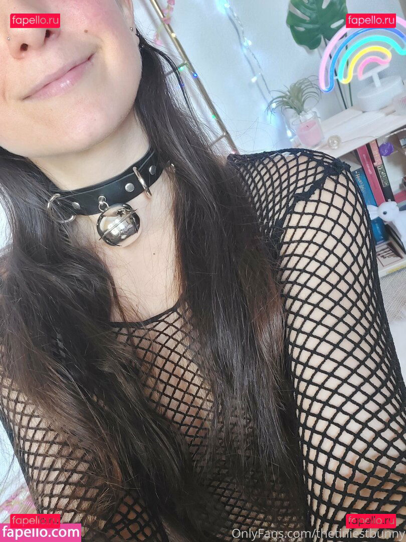 thetiniestbunny / thetiniestbunnyx Onlyfans Photo Gallery 