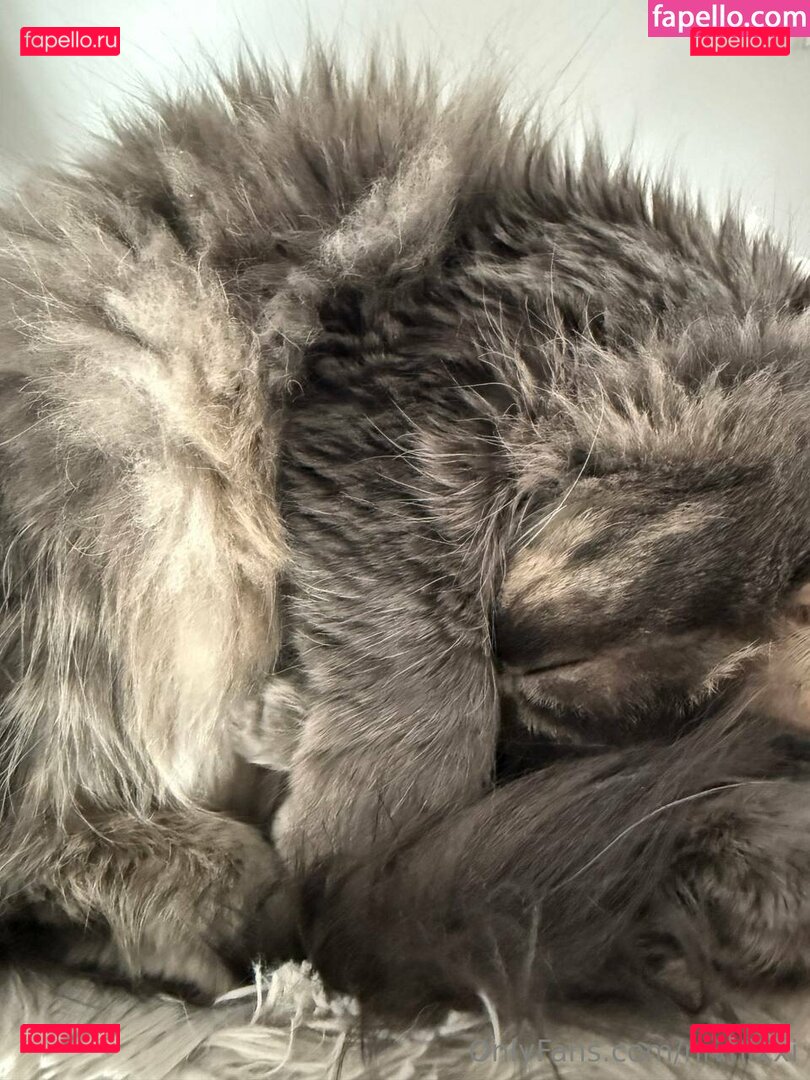 nivnixxi / xSalacia Onlyfans Photo Gallery 