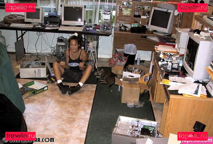 Asia Carrera / asia.carrera.lemmon / daniellecarrera Onlyfans Photo Gallery 