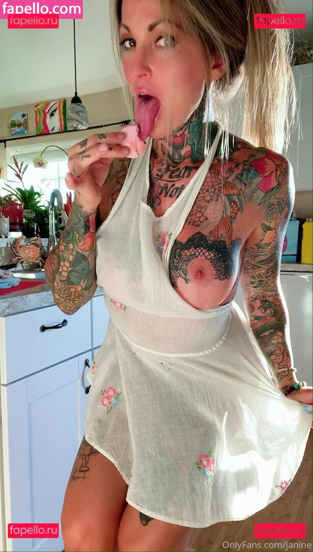 Janine Lindemulder / https: / janinelindemulderforfans Onlyfans Photo Gallery 