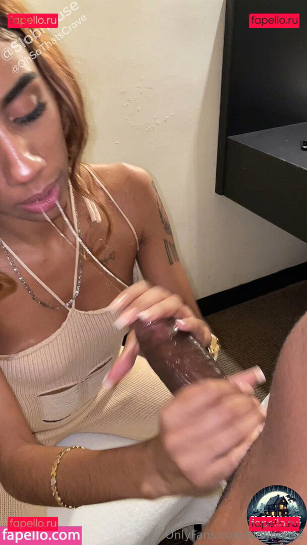 Slobhouse / slob303 / slobhouse.tv Onlyfans Photo Gallery 