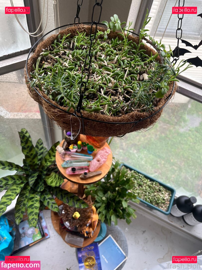 TrashDoll / trashdollofficial Onlyfans Photo Gallery 