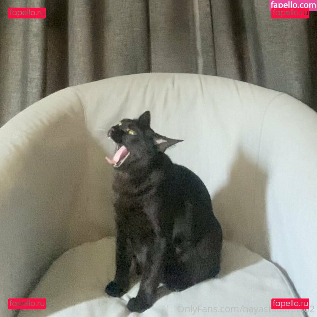 dhsuieieo292722 / hayashidareiko2 Onlyfans Photo Gallery 