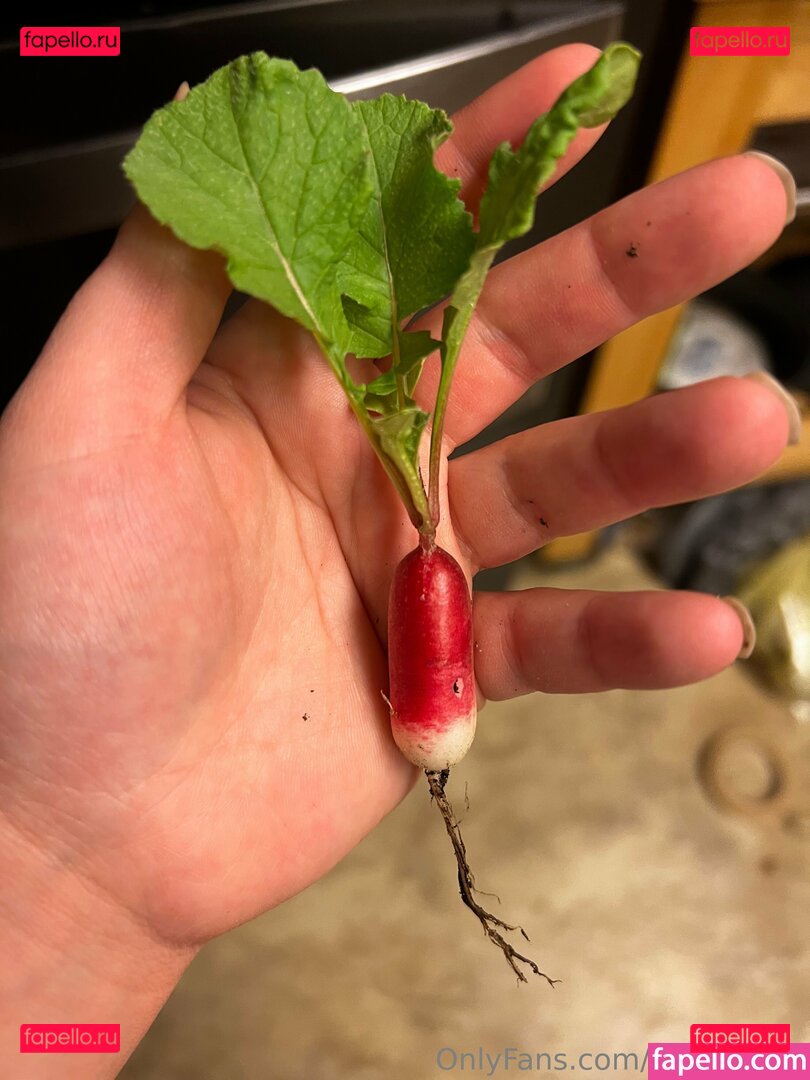 odette.opulence Onlyfans Photo Gallery 