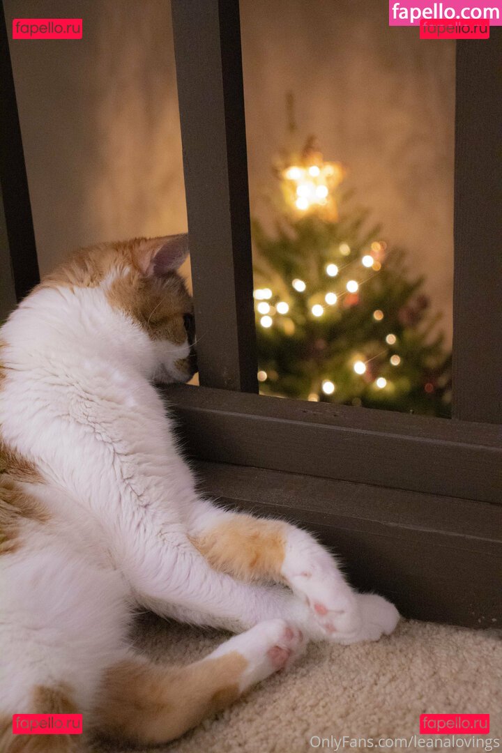 leanalovings / theleanalovings Onlyfans Photo Gallery 