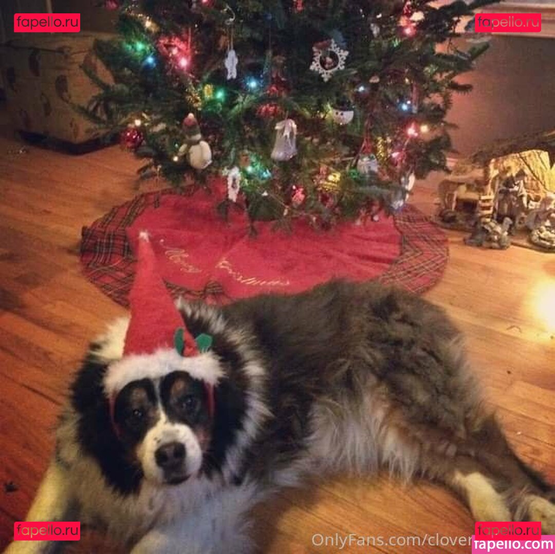 clover.baltimore / cloverbaltimore Onlyfans Photo Gallery 