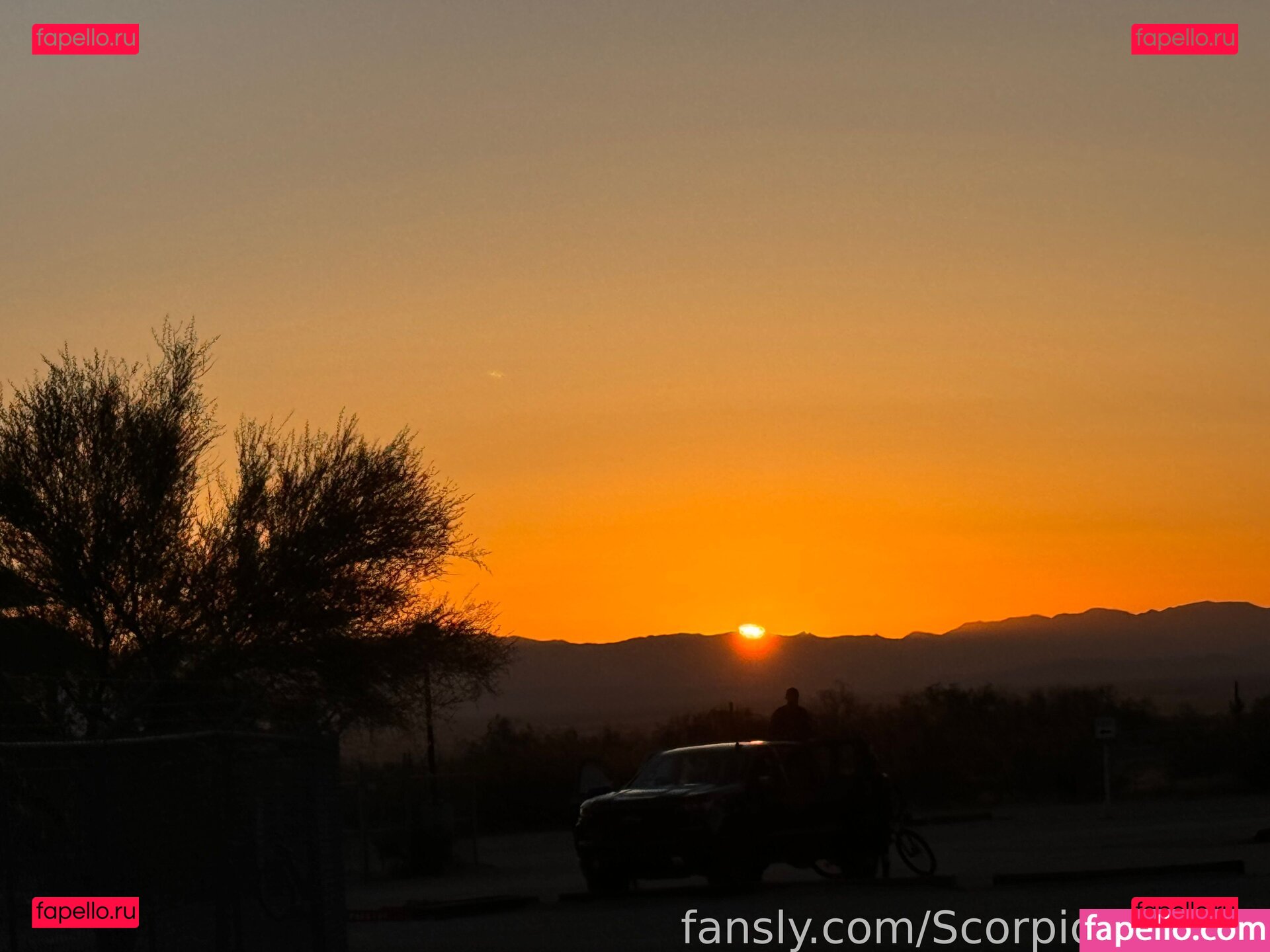 Scorpio Stephie / Scorpiostephie / scorpio.stephanie Onlyfans Photo Gallery 