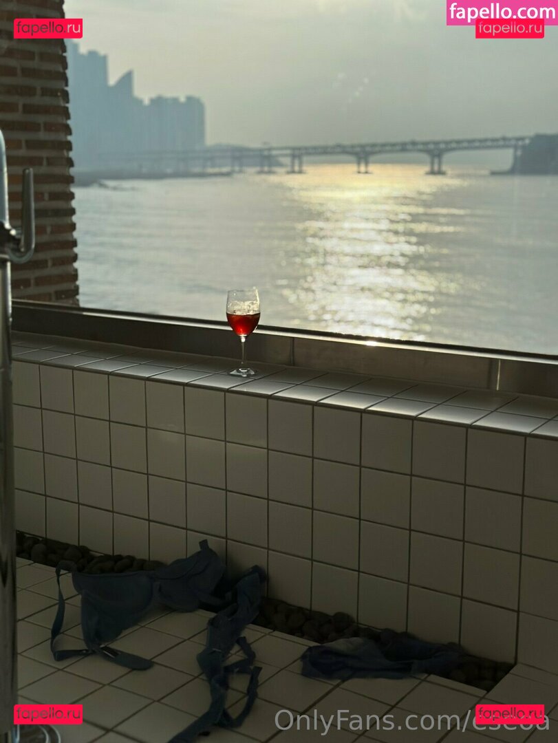 E_seoa / eseoa Onlyfans Photo Gallery 