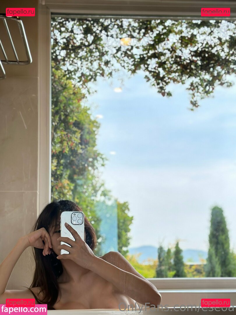 E_seoa / eseoa Onlyfans Photo Gallery 