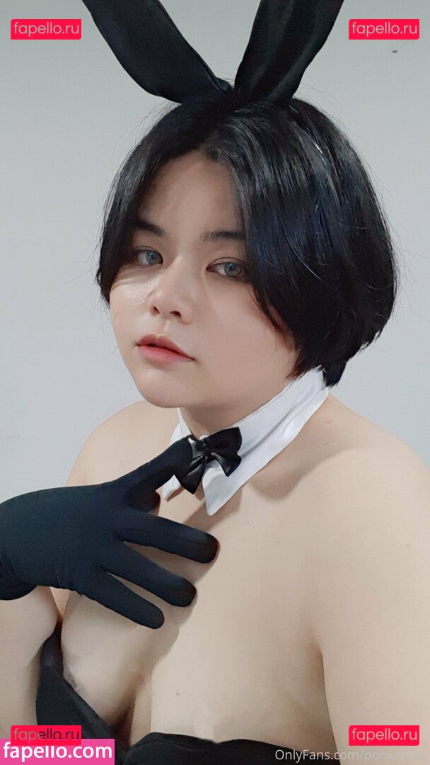 ponkapics / ponkapion Onlyfans Photo Gallery 