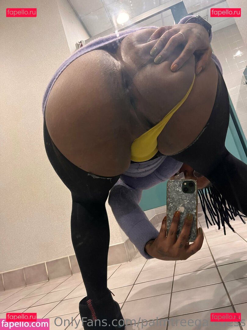 palmtreegawdess Nude Onlyfans Photo 20
