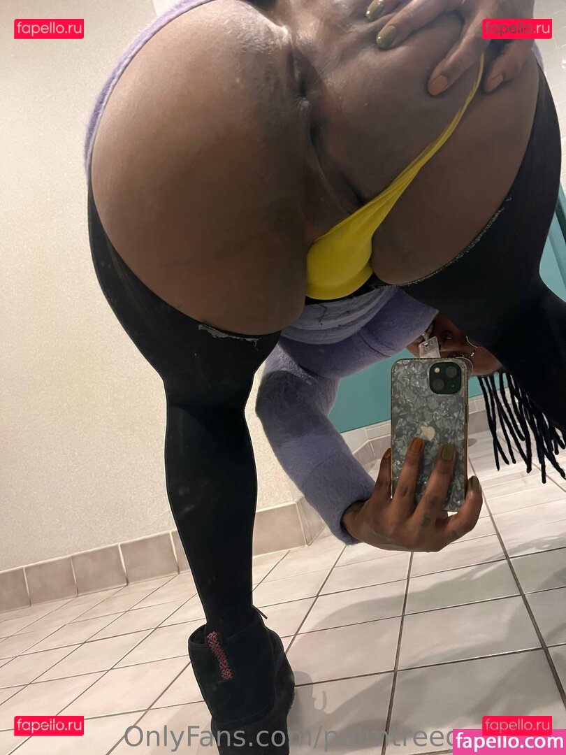 palmtreegawdess Nude Onlyfans Photo 19