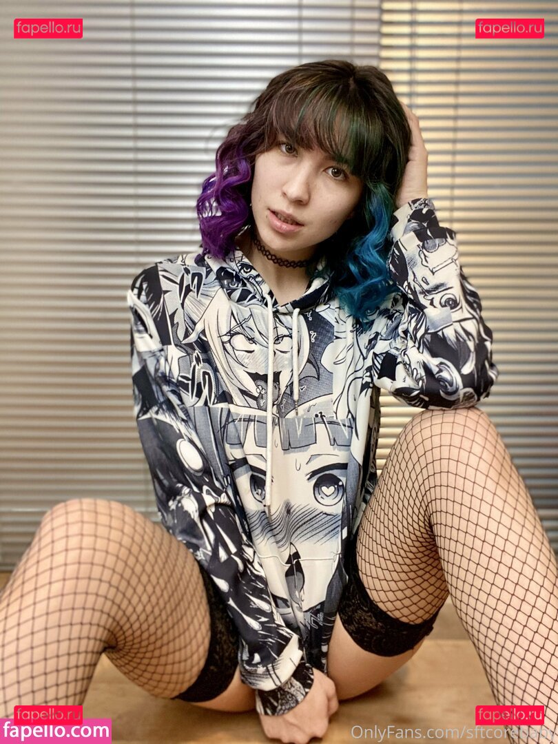 sftcorebaby Nude Onlyfans Photo 26