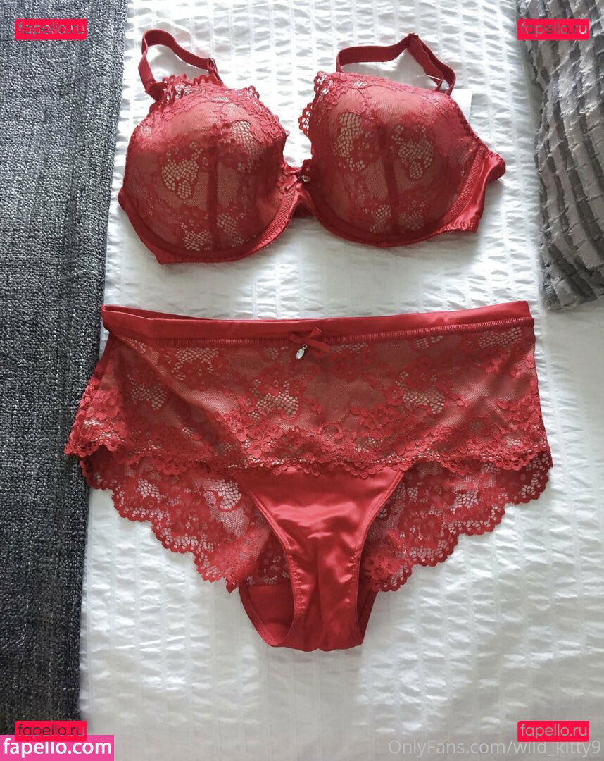 wild_kitty9 / wildkitty_kitty Onlyfans Photo Gallery 