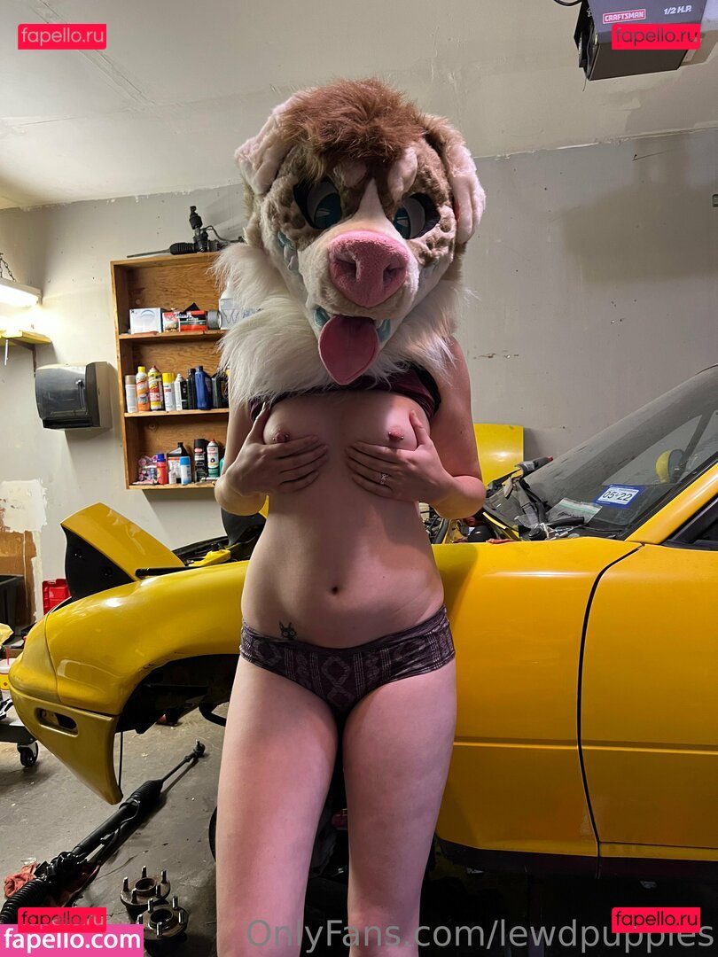 lewdpuppies Nude Onlyfans Photo 30