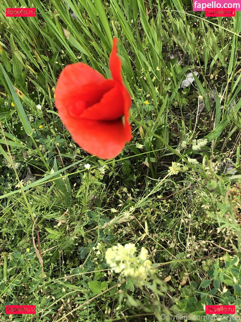 femdomyou / goddesssturm Onlyfans Photo Gallery 