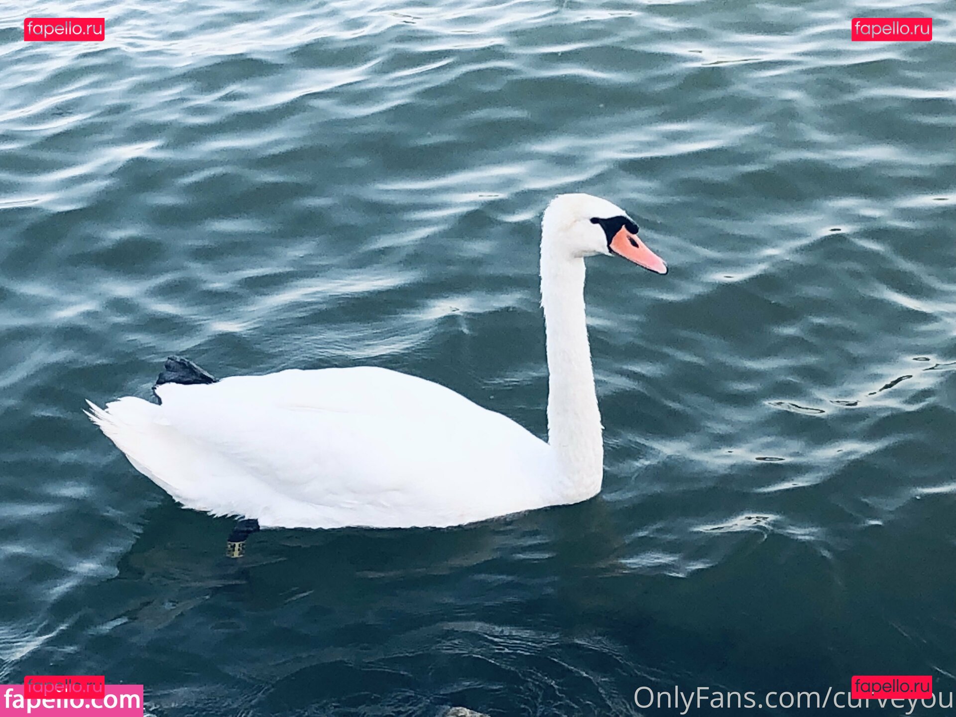 femdomyou / goddesssturm Onlyfans Photo Gallery 