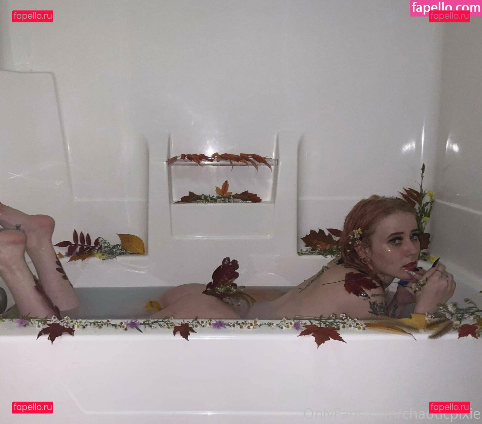 chaoticpixie Onlyfans Photo Gallery 