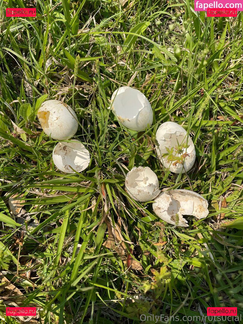 r0ts0cial Onlyfans Photo Gallery 